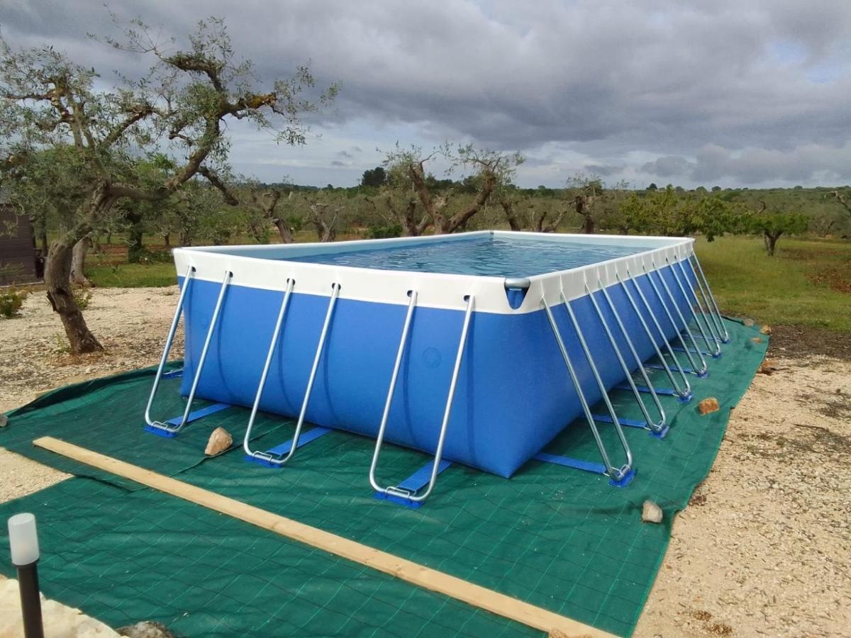 アルベロベッロTrullo Dell' Edera Con Piscina Privataアパートメント エクステリア 写真