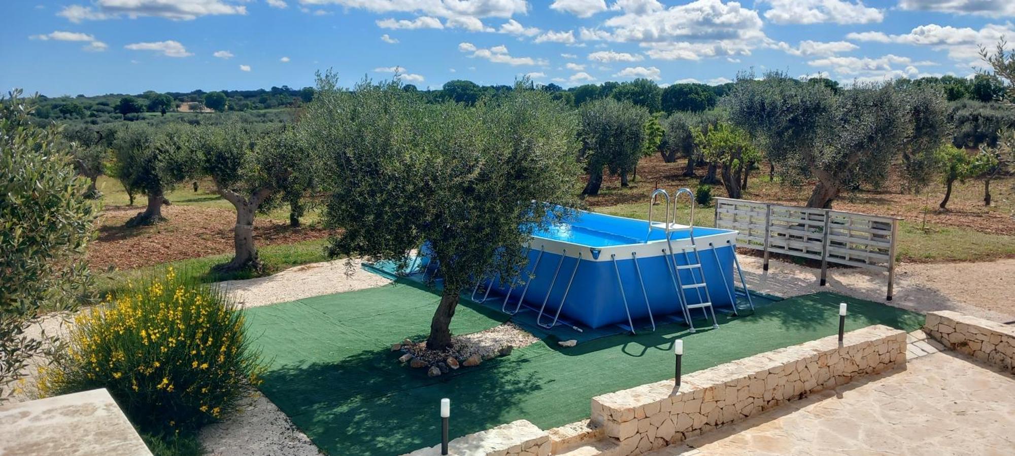 アルベロベッロTrullo Dell' Edera Con Piscina Privataアパートメント エクステリア 写真